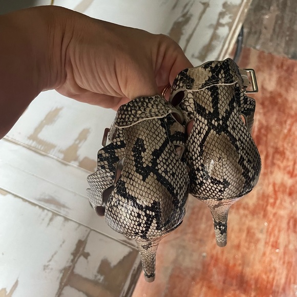 Chinese Laundry - Picture 4 of 5